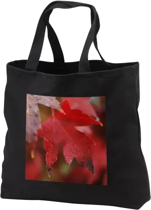 3dRose Macro photograph of vibrant red maple leaves wet from recent rain. - Tote Bags (tb_327733)