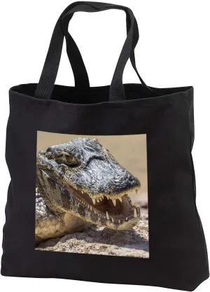 3dRose Pantanal, Mato Grosso, Brazil. Yacare caiman sunning on riverbank. - Tote Bags (tb_330782)