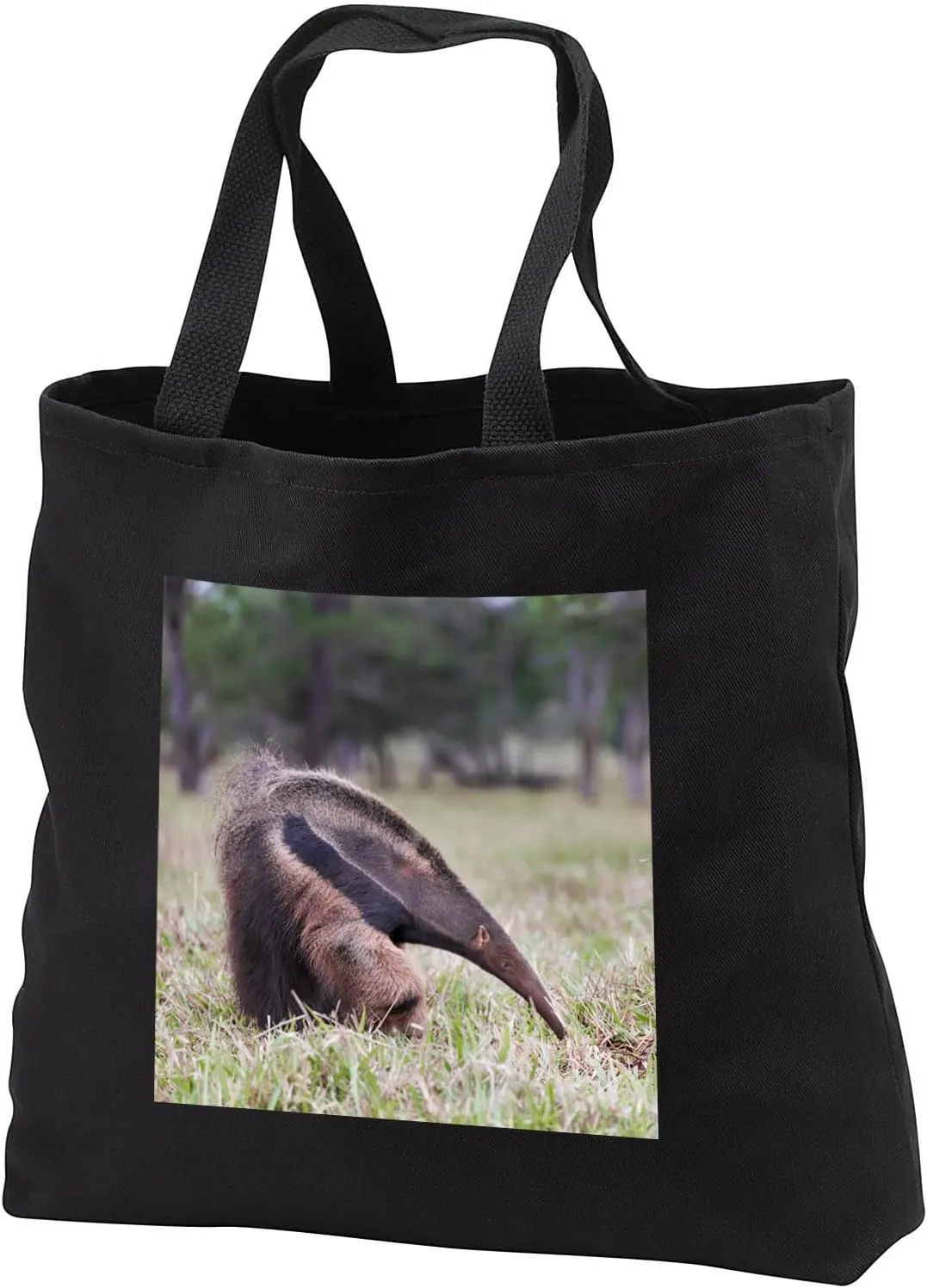 Black Tote Bag 14w x 14h x 3d - Brazil, Mato Grosso do Sul, Bonito, Giant anteater eating insects. Animals