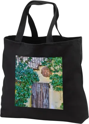 Black Tote Bag 14w x 14h x 3d - Italy, Radda in Chianti, Old Doorway Architecture