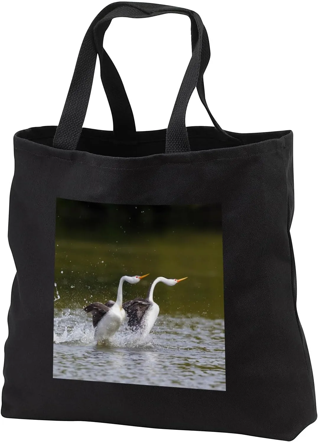 Black Tote Bag JUMBO 20w x 15h x 5d - Clarks Grebe Pair, Courtship Display Birds